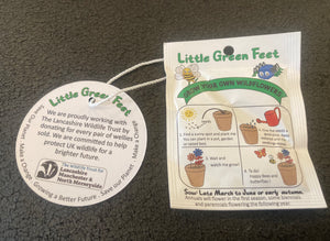 Little Green Feet Daisy School Shoe