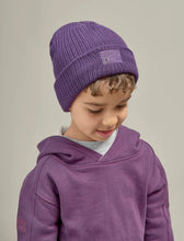 Load image into Gallery viewer, Grass &amp; Air Amethyst Purple Beanie Hat